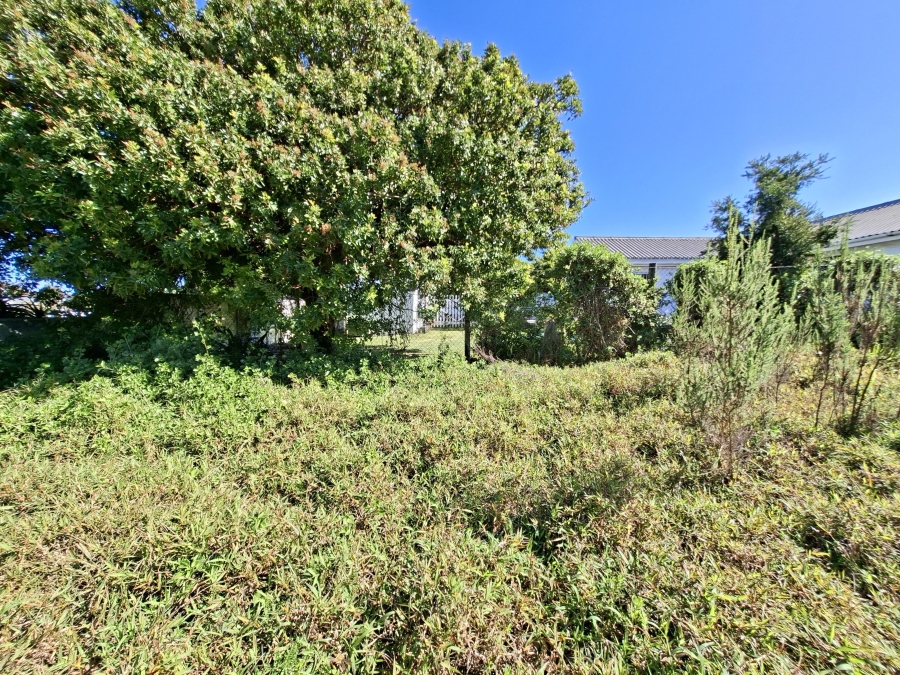 0 Bedroom Property for Sale in Palmiet Western Cape
